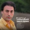 دانلود آهنگ جدید شهریار فرمان آرا تماشایی